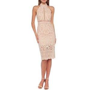 Bardot Lace MIDI Dress